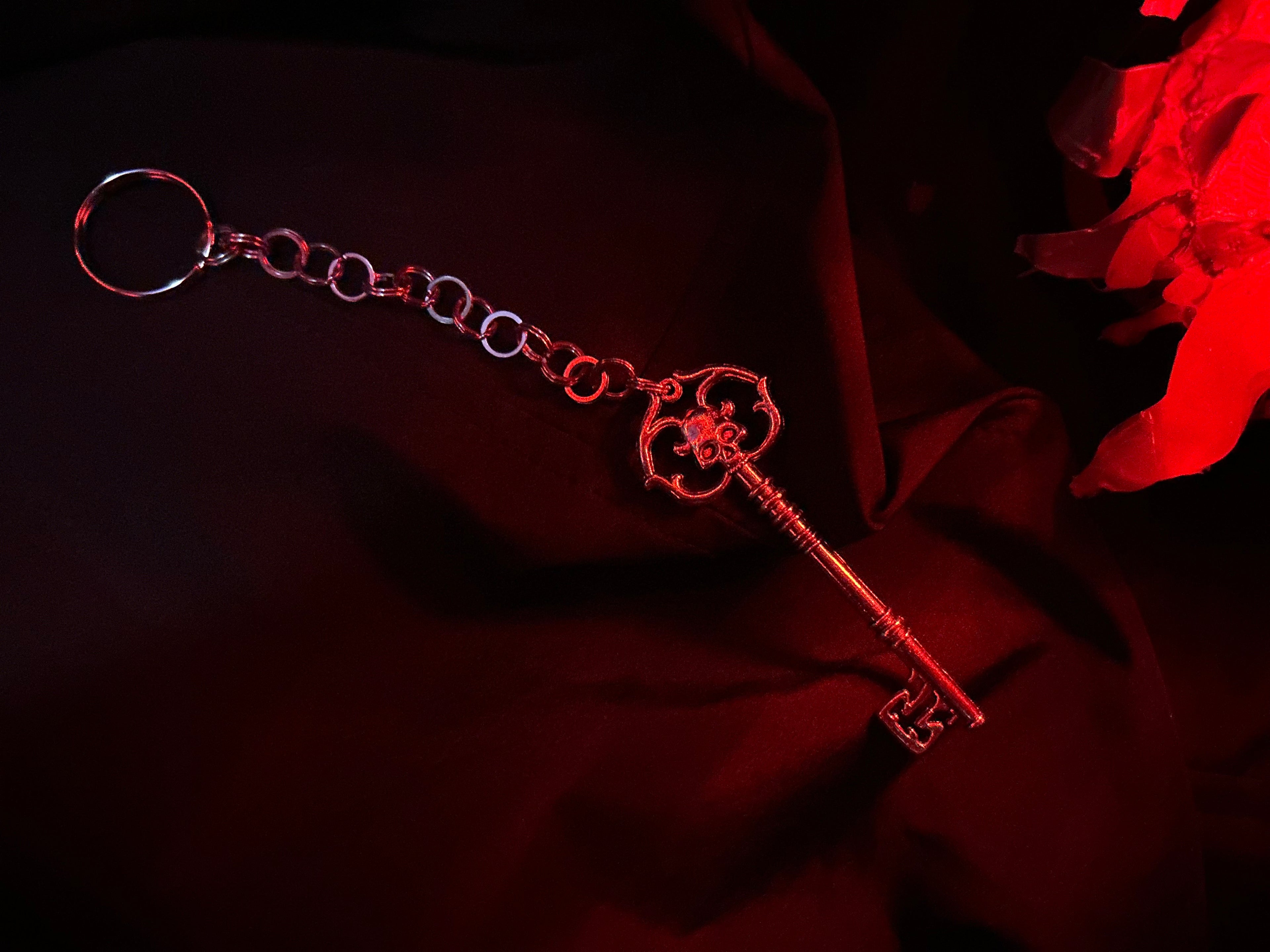 𝕾𝖍𝖎𝖓𝖎𝖌𝖆𝖒𝖎 𝕮𝖍𝖆𝖗𝖒 - 𝕾𝖐𝖊𝖑𝖊𝖙𝖔𝖓 𝕶𝖊𝖞 𝕶𝖊𝖞𝖈𝖍𝖆𝖎𝖓