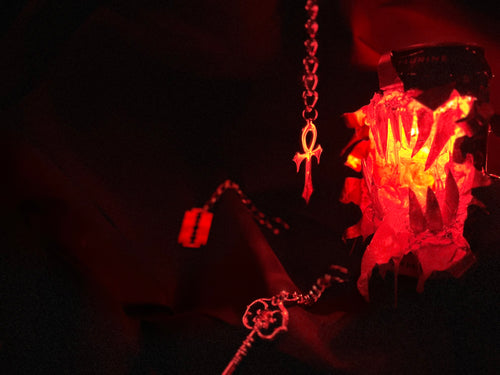 𝕾𝖍𝖎𝖓𝖎𝖌𝖆𝖒𝖎 𝕮𝖍𝖆𝖗𝖒𝖘