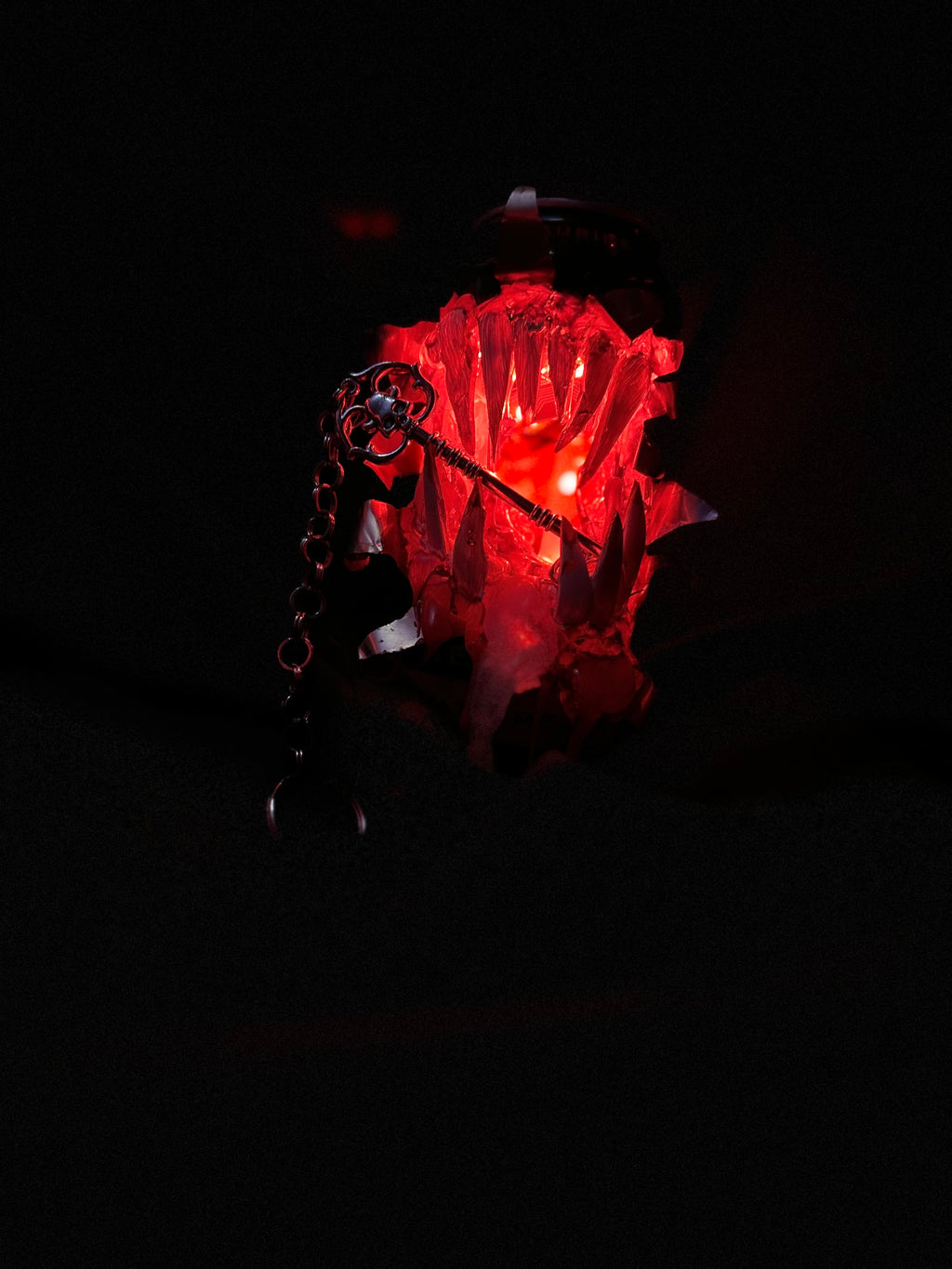 𝕾𝖍𝖎𝖓𝖎𝖌𝖆𝖒𝖎 𝕮𝖍𝖆𝖗𝖒 - 𝕾𝖐𝖊𝖑𝖊𝖙𝖔𝖓 𝕶𝖊𝖞 𝕶𝖊𝖞𝖈𝖍𝖆𝖎𝖓